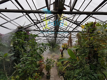 Система туманообразования высокого давления в оранжерее Новосибирского ботанического сада